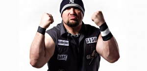 bully-ray bully-ray