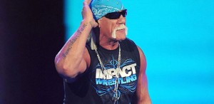 hulk-hogan hulk-hogan