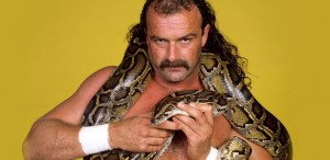 jake-the-snake-roberts jake-the-snake-roberts