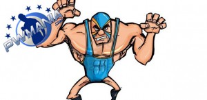 mask-wrestler-pwm mask-wrestler-pwm