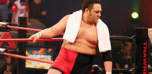 samoa-joe samoa-joe
