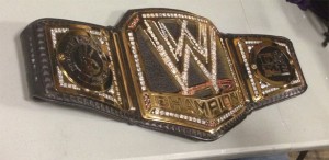cena-belt cena-belt