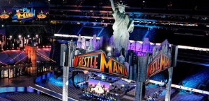 wm29-set wm29-set