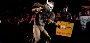 el-torito el-torito
