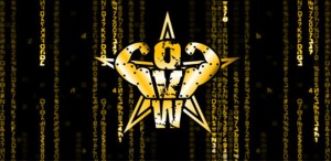 ovw ovw