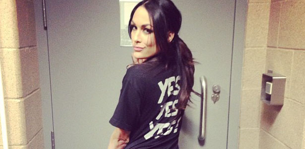 brie-bella-3