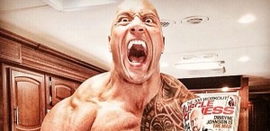 the-rock-8 the-rock-8