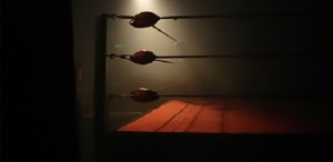 ring2 ring2