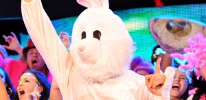 bunny