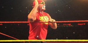 hogan-msg