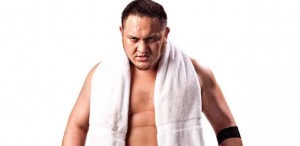 samoa-joe