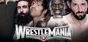 wm31-ladder