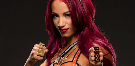 Sasha Banks Calls Out Company On Gimmick Infringement Injured WWE Star 