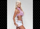 wwe-divas-looking-sexy-for-4th-of-july-24