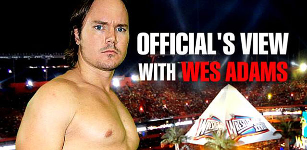 officialsview-wa