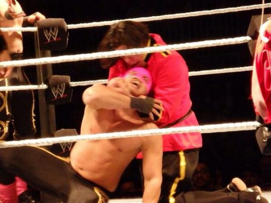 ric-gear