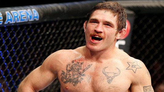 UFC Stockholm 2013: Kuiper v Lawlor