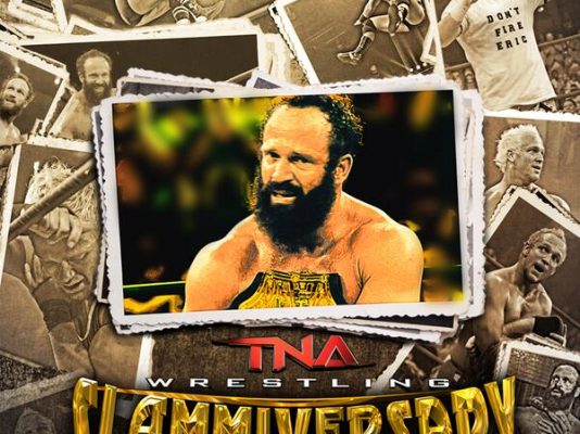 tna-slammiversary-2014