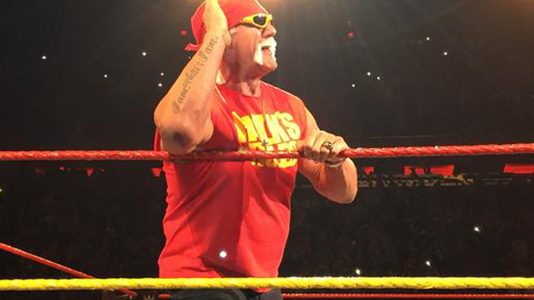 hogan-msg