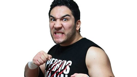 el-hijo-del-perro-aguayo