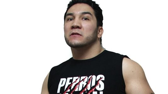 el-hijo-del-perro-aguayo2