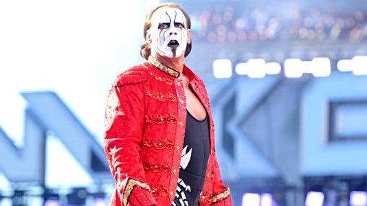 sting-4