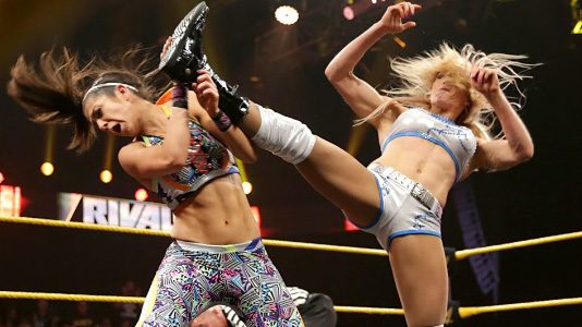 bayley-char