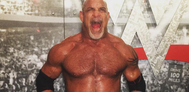 goldberg4