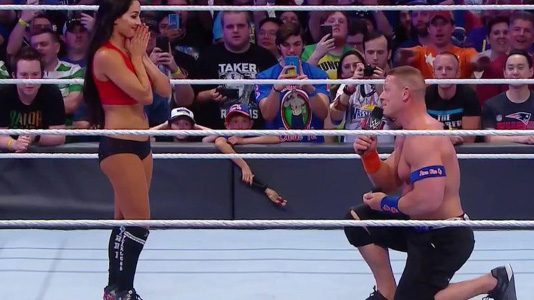 cena-nikki2