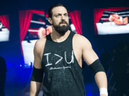 Damien Sandow