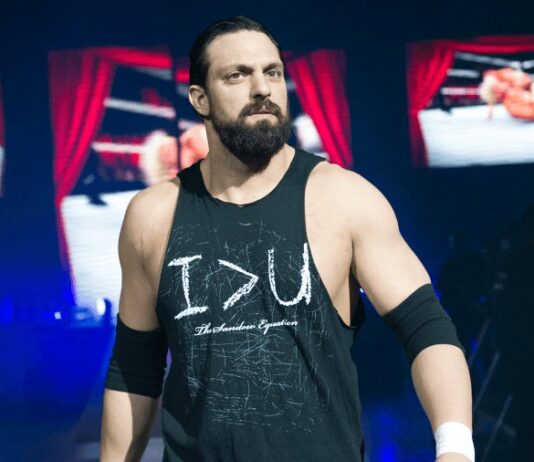 Damien Sandow