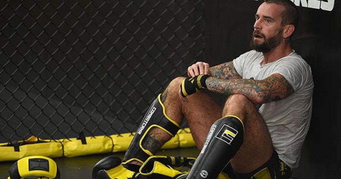 cm-punk