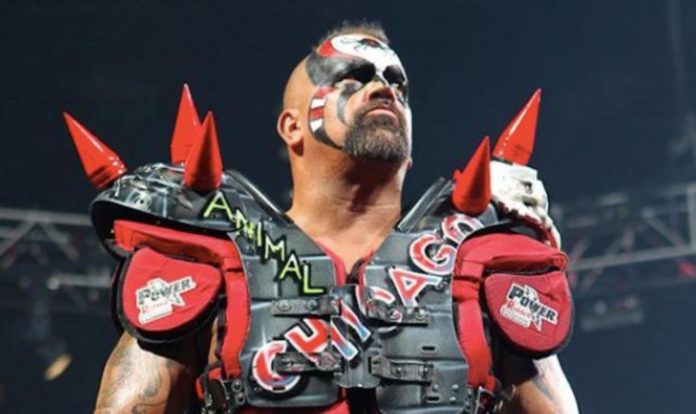 Road Warrior Animal Road Warrior Animal