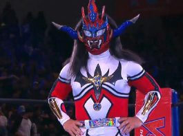 Jushin "Thunder" Liger