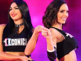 IIconics