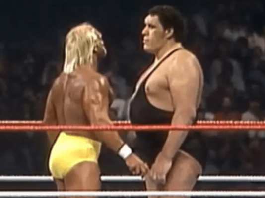 hulk-vs-andre-24