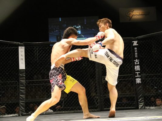 mma-1444469_1280