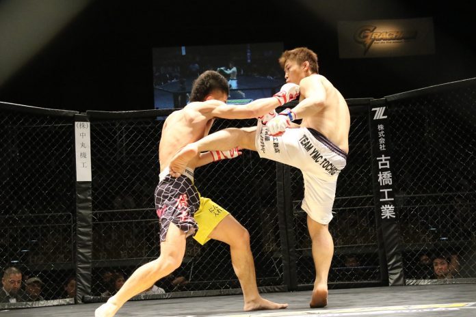 mma-1444469_1280