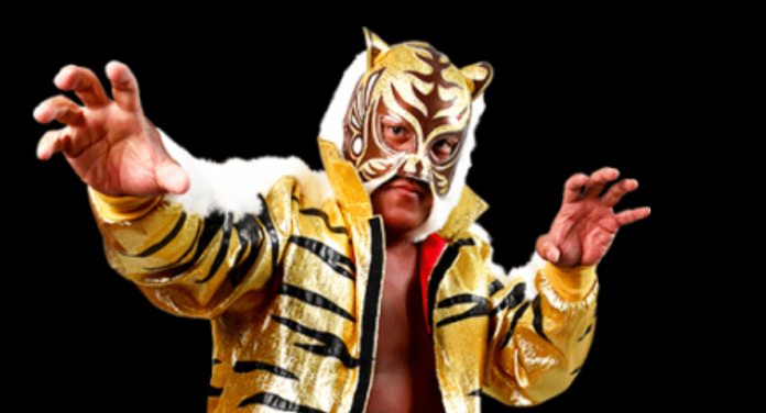 tiger-mask
