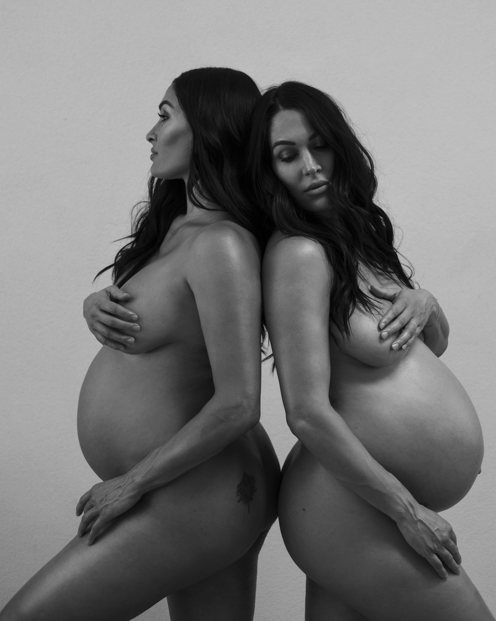 Photos: The Bella Twins Pose and Show Off Their Pregnant Bodies.