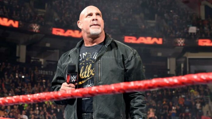 Favorites And Final Betting Odds For WWE Survivor Series 2023 - PWMania - Wrestling News