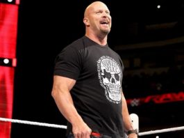 Steve Austin in WWE
