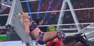 Shotzi MITB Botch