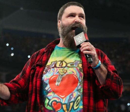 Mick Foley Issues Statement Directed At Donald Trump And United States Voters Mick Foley in WWE