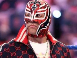 Possible Identity Of Rey Mysterio’s AAA Mystery Star Revealed Rey Mysterio