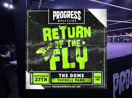 return-of-the-fly