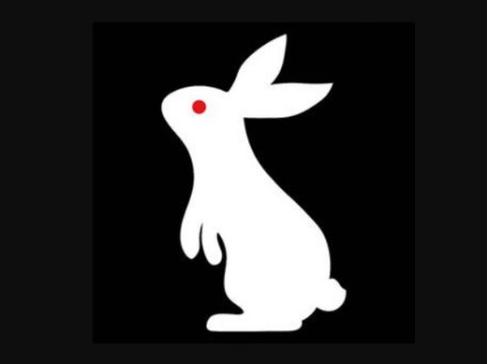 white-rabbit