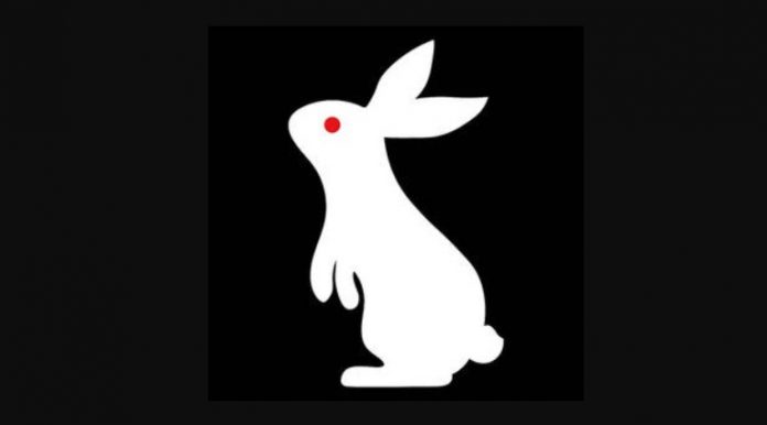 white-rabbit