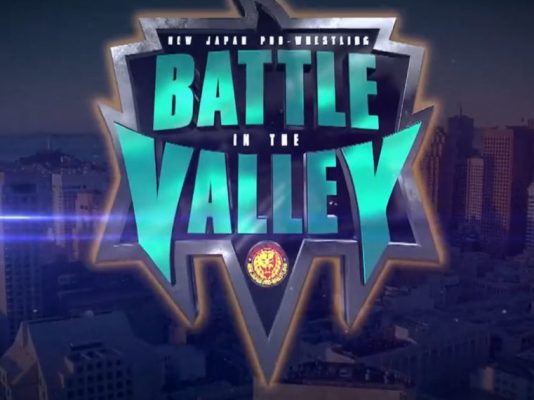 Battle In The Valley