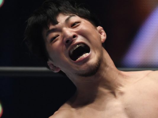 New Japan Pro-Wrestling G1 Climax 29